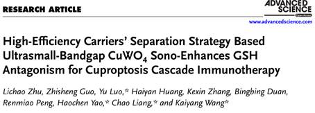 文本

AI 生成的内容可能不正确。