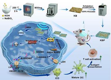 图示, 地图

AI 生成的内容可能不正确。